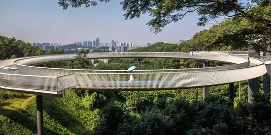  跨国友谊赛精彩纷呈，文化交流架起桥梁  