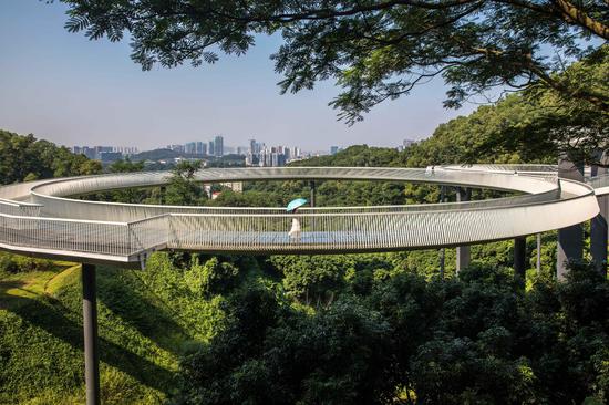  跨国友谊赛精彩纷呈，文化交流架起桥梁  